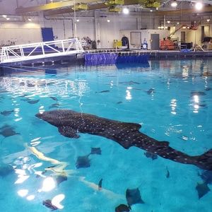 Meet your Posher, Glenn